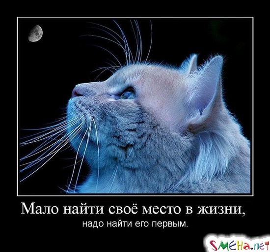 Мало найти своё место в жизни, - надо найти его первым.