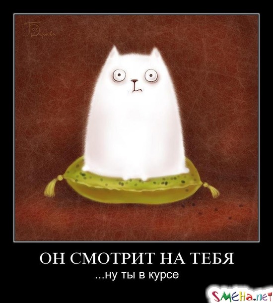 ОН СМОТРИТ НА ТЕБЯ - ...ну ты в курсе