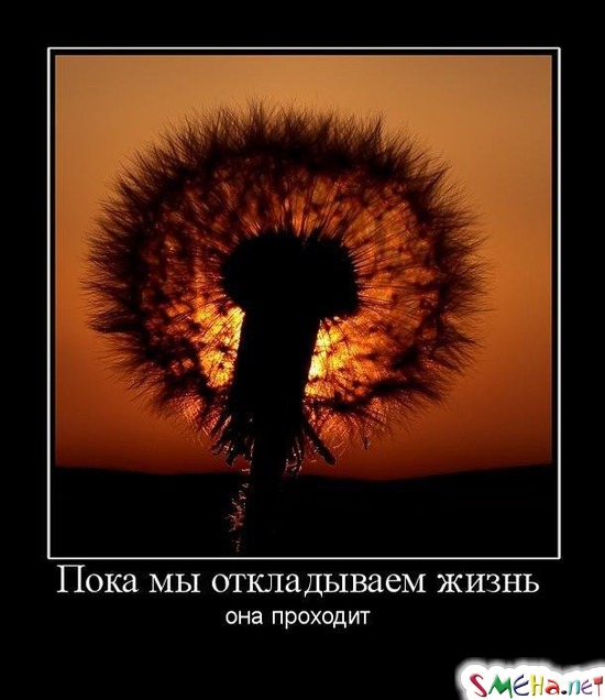 Пока мы откладываем жизнь - она проходит