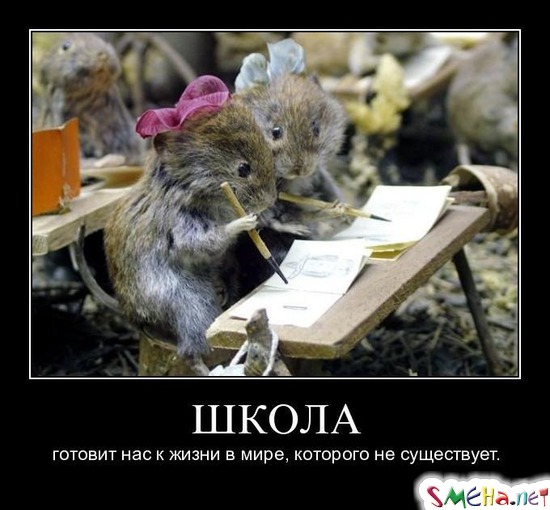 ШКОЛА - готовит нас к жизни в мире, которого не существует