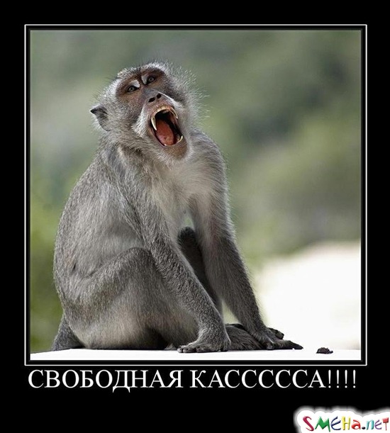 СВОБОДНАЯ КАСССССА!!!!