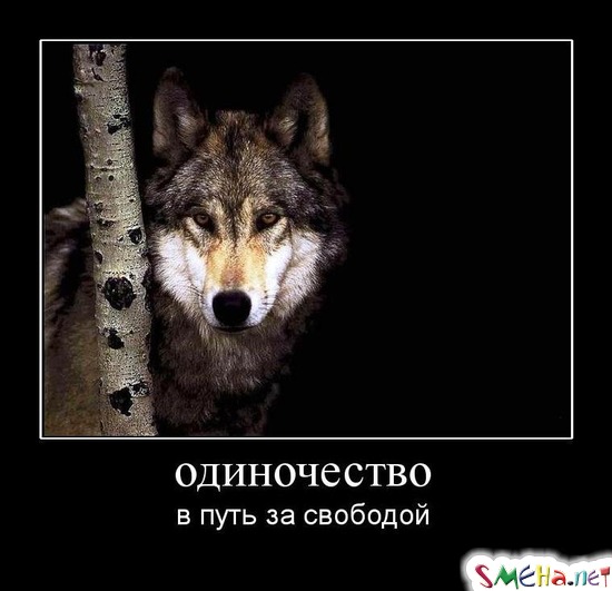 одиночество - в путь за свободой