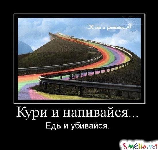 Кури и напивайся... - Едь и убивайся.