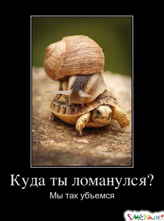 Куда ты ломанулся? Мы так убъемся