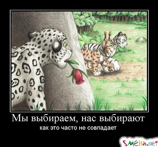 Мы выбираем, нас выбирают - как это часто не совпадает