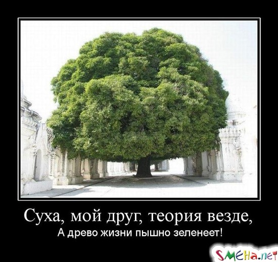 Суха, мой друг, теория везде, - А древо жизни пышно зеленеет!