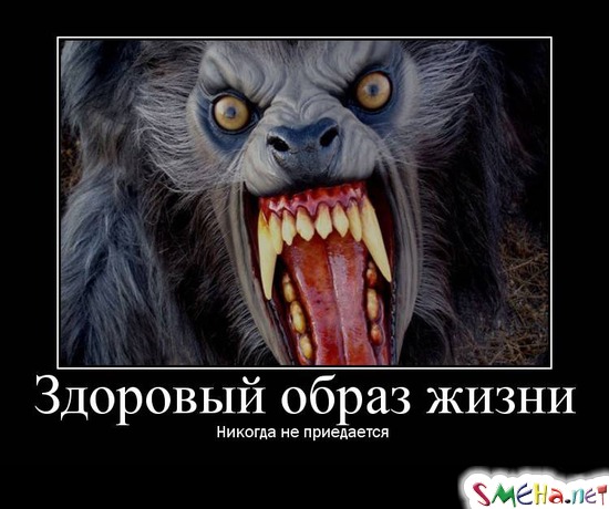 Здоровый образ жизни - Никогда не приедается
