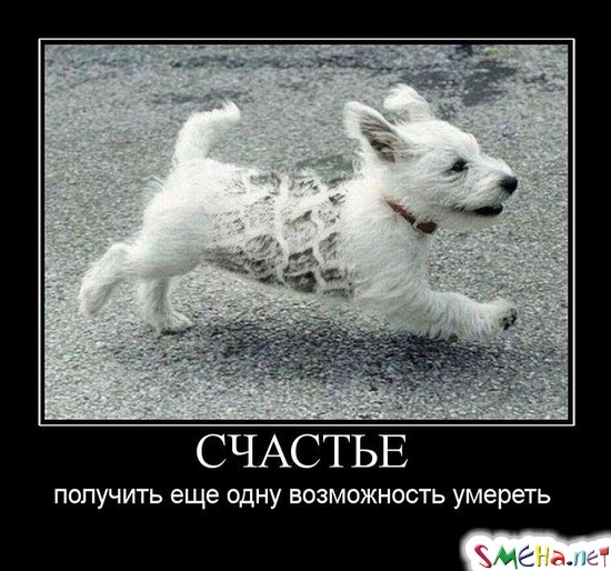 СЧАСТЬЕ - получить еще одну возможность умереть