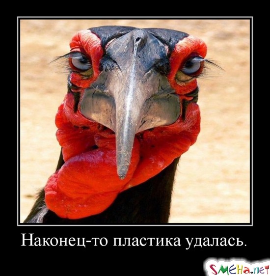 Наконец-то пластика удалась