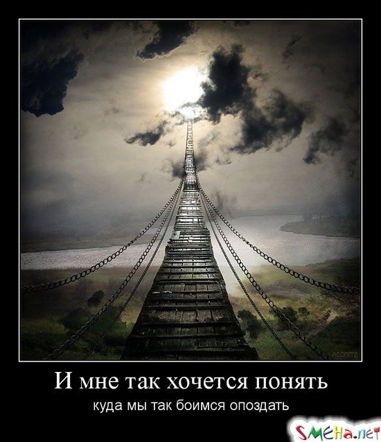 И мне так хочется понять - куда мы так боимся опоздать