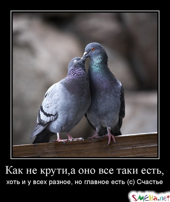 Как не крути, а оно все таки есть, хоть и у всех разное, но главное есть (с) Счастье