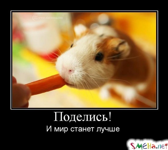 Поделись! - И мир станет лучше