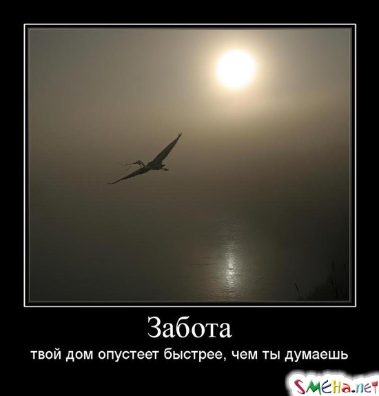 Забота - твой дом опустеет быстрее, чем ты думаешь