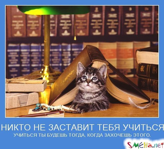 НИКТО НЕ ЗАСТАВИТ ТЕБЯ УЧИТЬСЯ - УЧИТЬСЯ ТЫ БУДЕШЬ ТОГДА, КОГДА ЗАХОЧЕШЬ ЭТОГО.
