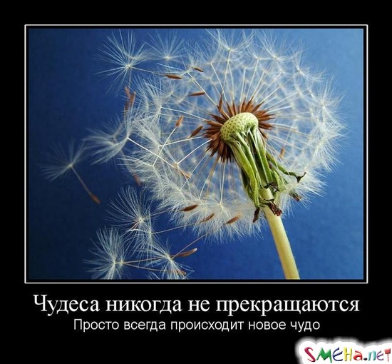 Чудеса никогда не прекращаются - Просто всегда происходит новое чудо