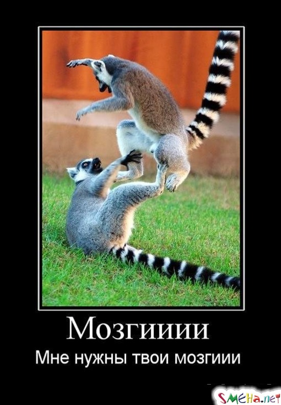 Мозгииии - Мне нужны твои мозгиии