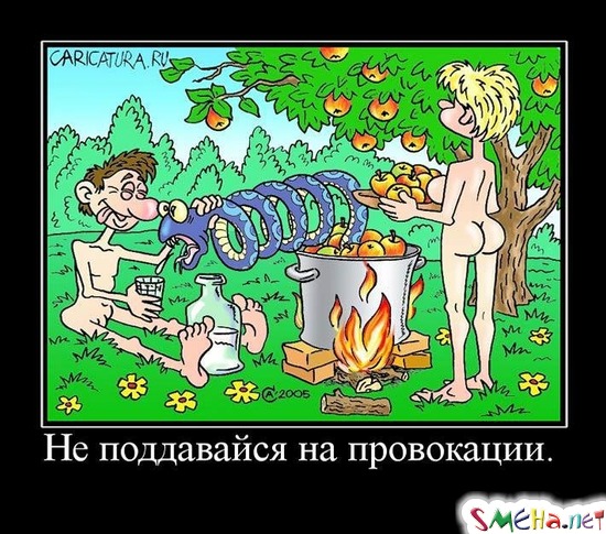 Не поддавайся на провокации.
