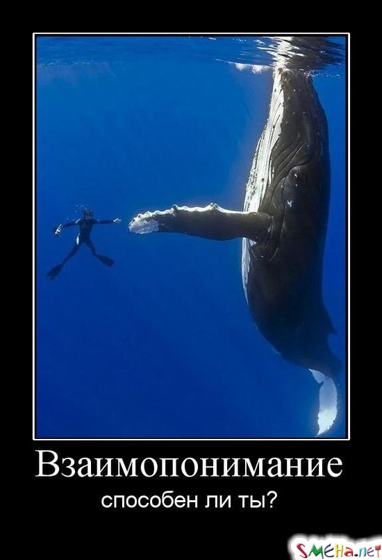 Взаимопонимание - способен ли ты?