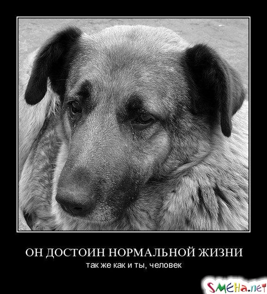ОН ДОСТОИН НОРМАЛЬНОЙ ЖИЗНИ - так же как и ты, человек