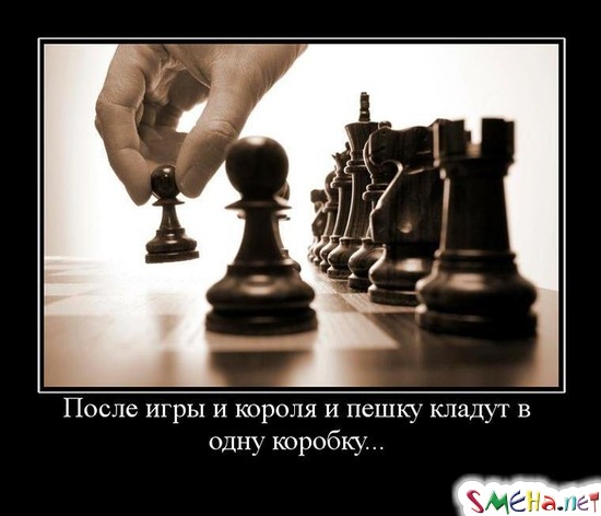 После игры и короля и пешку кладут в - одну коробку...