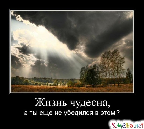 Жизнь чудесна, - а ты еще не убедился в этом?