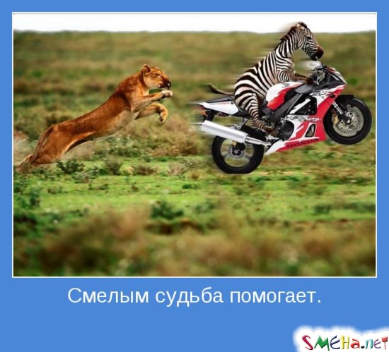 Смелым судьба помогает