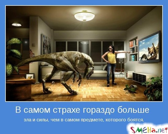 В самом страхе гораздо больше зла и силы, чем в самом предмете, которого боятся
