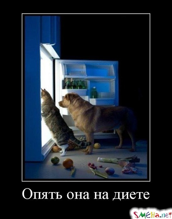 Опять она на диете