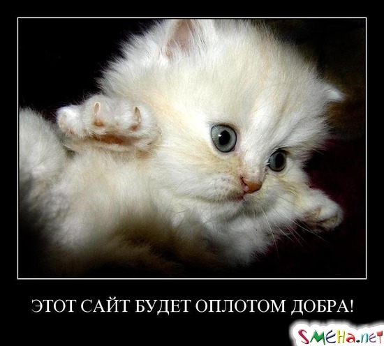 ЭТОТ САЙТ БУДЕТ ОПЛОТОМ ДОБРА!