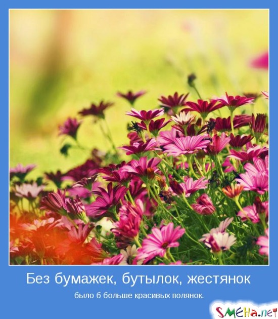 Без бумажек, бутылок, жестянок было б больше красивых полянок