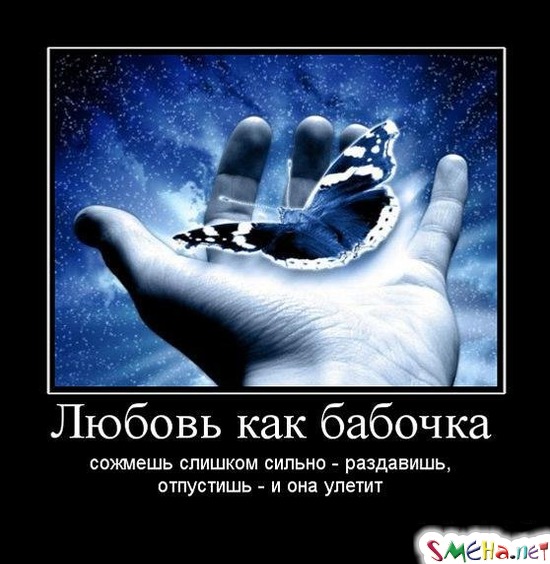 Любовь как бабочка - сожмешь слишком сильно - раздавишь, отпустишь - и она улетит