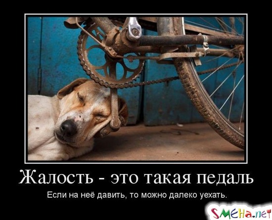 Жалость - это такая педаль  Если на неё давить, то можно далеко уехать