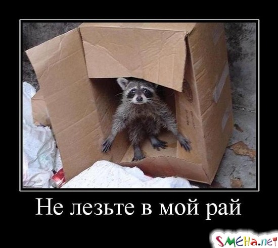 Не лезьте в мой рай
