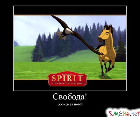 Свобода! - Борись за нее!