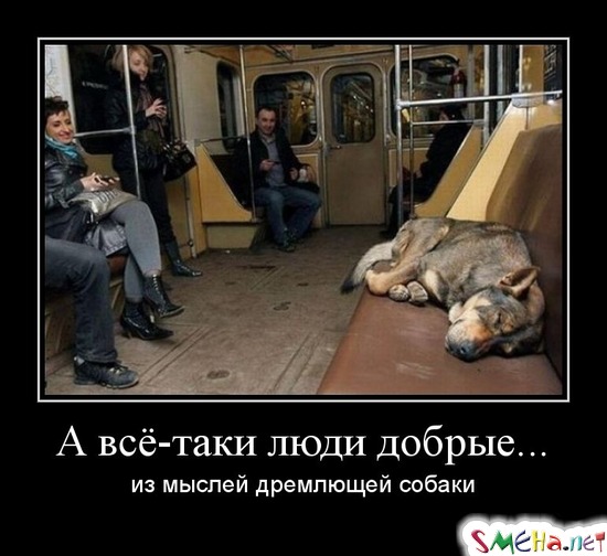 А всё-таки люди добрые - из мыслей дремлющей собаки