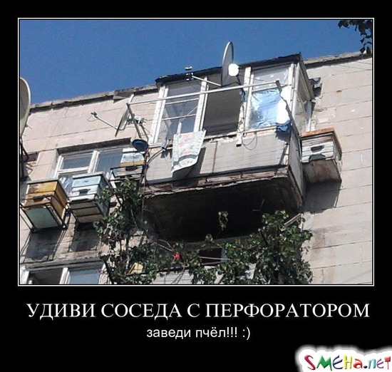 УДИВИ СОСЕДА С ПЕРФОРАТОРОМ - заведи пчёл!!! :)