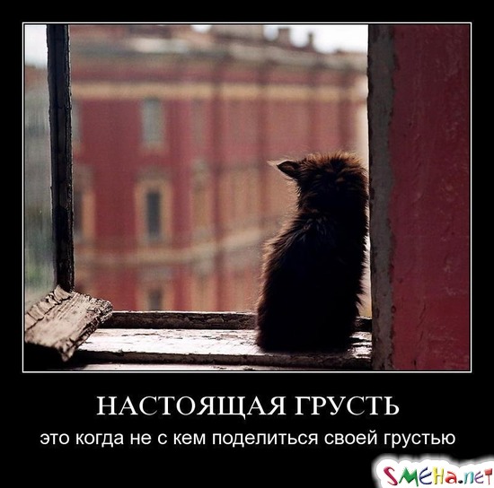 НАСТОЯЩАЯ ГРУСТЬ - это когда не с кем поделиться своей грустью