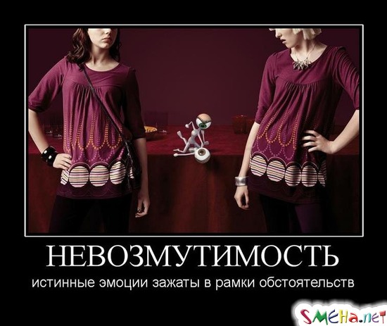 НЕВОЗМУТИМОСТЬ - истинные эмоции зажаты в рамки обстоятельств