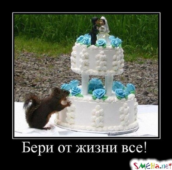Бери от жизни все!