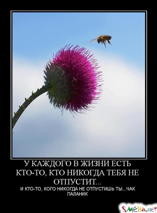У КАЖДОГО В ЖИЗНИ ЕСТЬ КТО-ТО, КТО НИКОГДА ТЕБЯ НЕ ОТПУСТИТ... - И КТО-ТО, КОГО НИКОГДА НЕ ОТПУСТИШЬ ТЫ... ЧАК ПАЛАНИК
