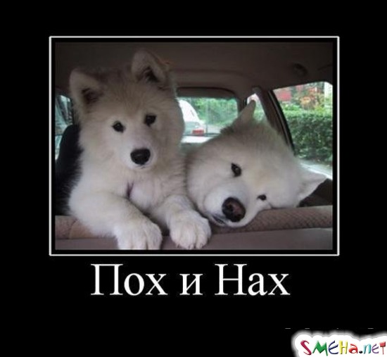 Пох и Нах