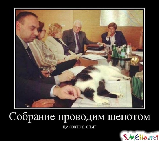 Собрание проводим шепотом - директор спит