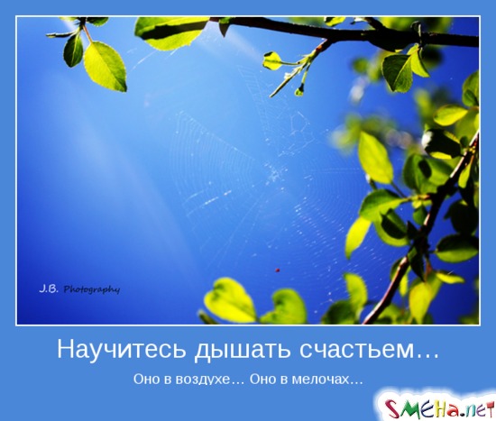 Научитесь дышать счастьем… - Оно в воздухе… Оно в мелочах…