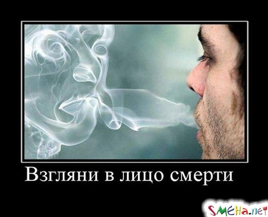 Взгляни в лицо смерти