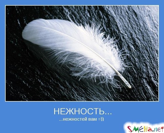 НЕЖНОСТЬ... - ......нежностей вам =))