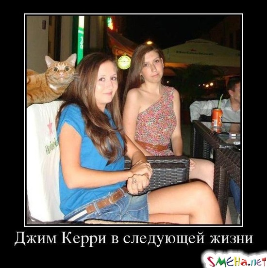 Джим Керри в следующей жизни