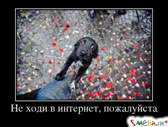 Не ходи в интернет, пожалуйста