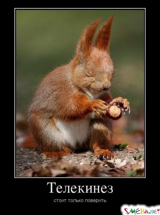 Телекинез стоит только поверить