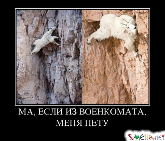 МА, ЕСЛИ ИЗ ВОЕНКОМАТА, МЕНЯ НЕТУ