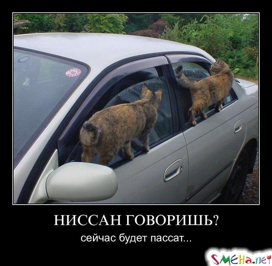 НИССАН ГОВОРИШЬ? - сейчас будет пассат...